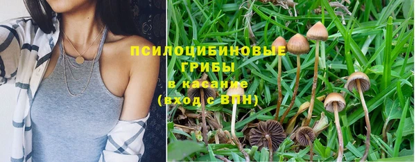 меф Надым