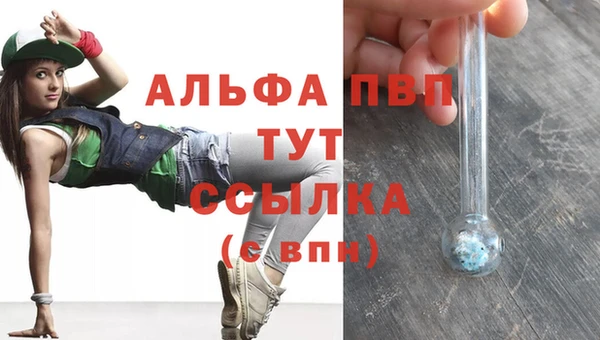 дмт Абаза