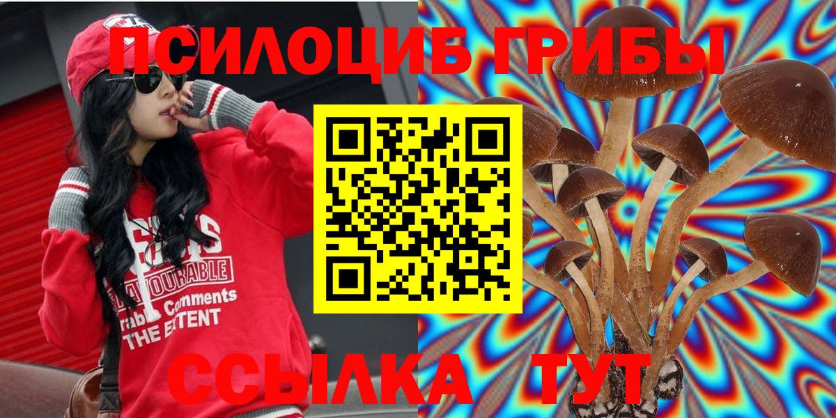 Псилоцибиновые грибы мухоморы  Волжский 
