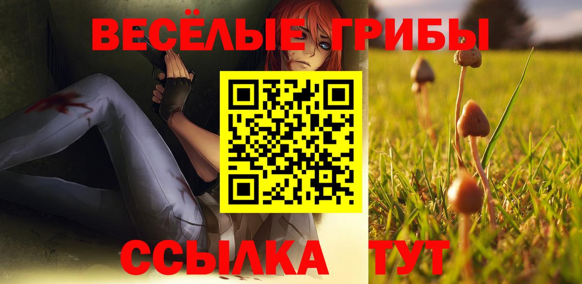 Галлюциногенные грибы GOLDEN TEACHER Волжский