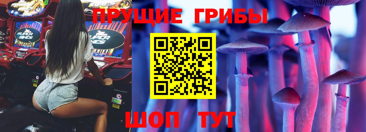 Псилоцибиновые грибы MAGIC MUSHROOMS  наркотики  Волжский  Вход с VPN 